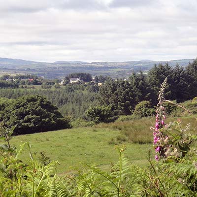 Donoughmore